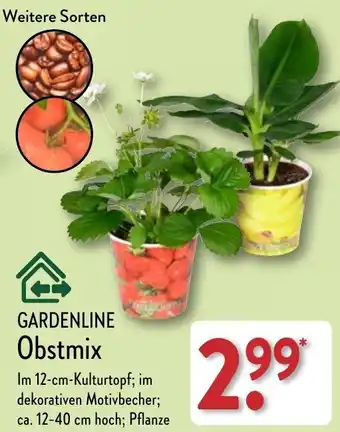 Aldi Nord GARDENLINE Obstmix Angebot