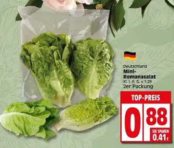 Elli Markt Mini-Romanasalat 2er Packung Angebot