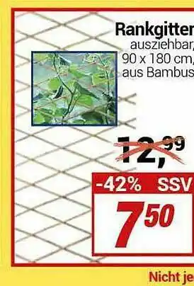 CENTERSHOP Rankgitter Angebot