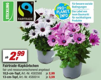 toom Baumarkt Fairtrade-Kapkörbchen Angebot
