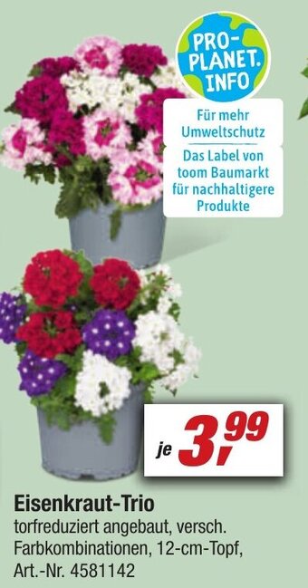 toom Baumarkt Eisenkraut-Trio Angebot