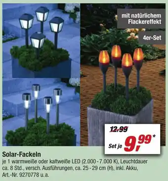 toom Baumarkt Solar-Fackeln Angebot