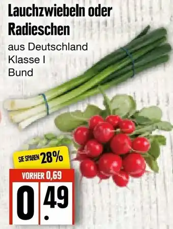 Edeka Frischemarkt Lauchzwiebeln oder Radieschen Angebot