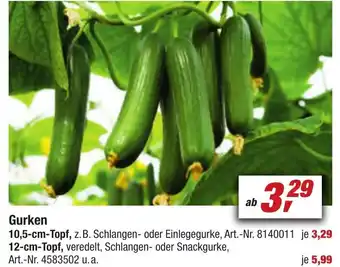 toom Baumarkt Gurken 10,5-cm-Topf Angebot
