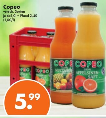 Trink und Spare Copeo 6x1L Angebot