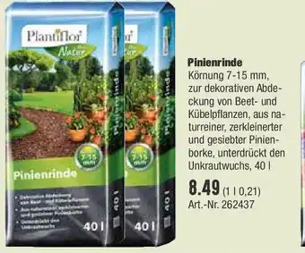 BayWa Pinienrinde Angebot