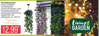 Marktkauf Living & GARDEN LED-Blütenzauber Florale Lichtdeko mit Textilblüten Angebot