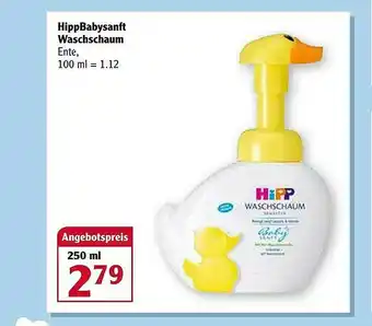 Globus Hippbabysanft Waschschaum Angebot