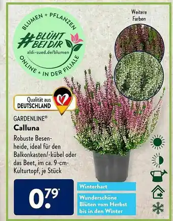 Aldi Süd Gardenline Calluna Angebot