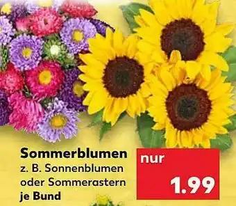 Kaufland Sommerblumen Angebot