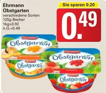 WEZ Ehrmann Obstgarten 125g Becher Angebot