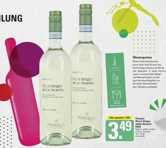 WEZ Pasqua Pinot Grigio delle Venezie DOC 0,75 Ltr. Flasche Angebot