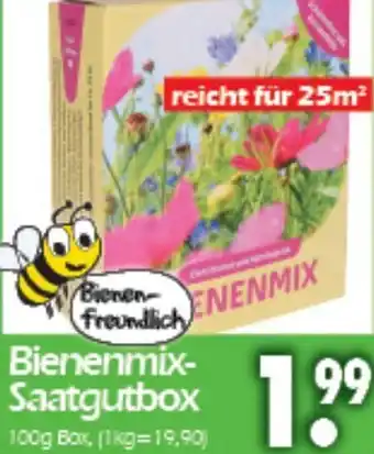 Wreesmann Bienenmix-Saatgutbox 100g Box Angebot