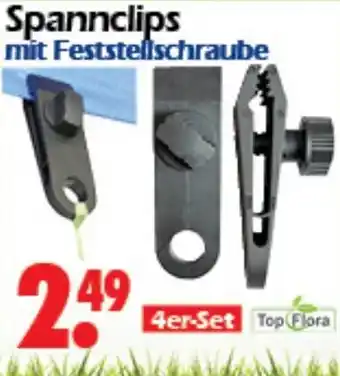 Wreesmann Spannclips mit Feststellschraube 4er-Set Angebot