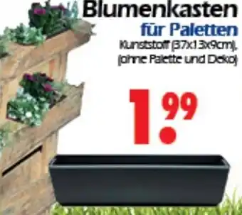 Wreesmann Blumenkasten für Paletten Angebot