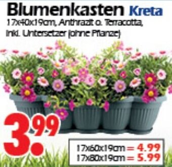 Wreesmann Blumenkasten Kreta Angebot