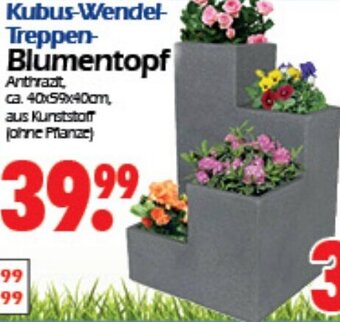 Wreesmann Kubus-Wendel Treppen Blumentopf Angebot