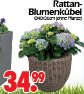 Wreesmann Rattan-Blumenkübel Angebot