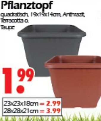 Wreesmann Pflanztopf Angebot