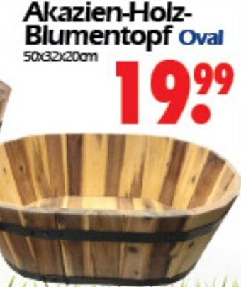 Wreesmann Akazien-Holz-Blumentopf Oval Angebot