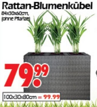 Wreesmann Rattan-Blumenkübel Angebot