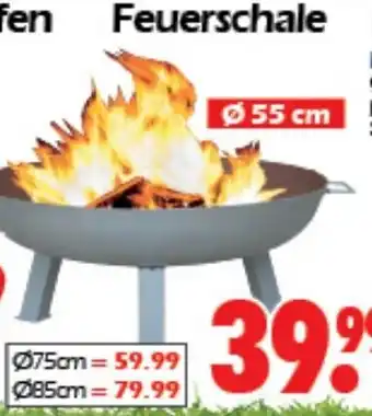 Wreesmann Feuerschale Angebot