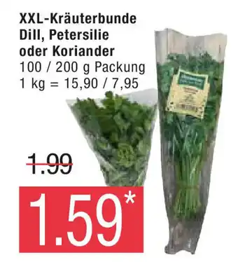 Marktkauf XXL-Kräuterbunde Dill, Petersilie oder Koriander 100 / 200 g Angebot