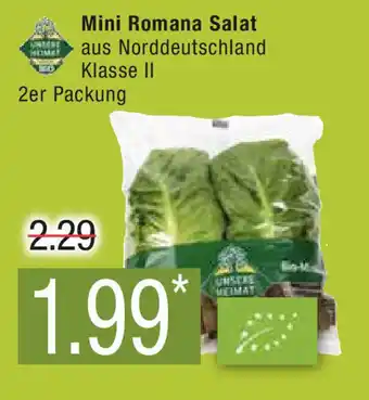 Marktkauf Mini Romana Salat 2er Packung Angebot