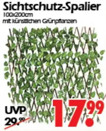 Wreesmann Sichtschutz-Spalier Angebot