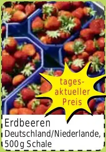 Wiglo Wunderland Erdbeeren 500 g Schale Angebot