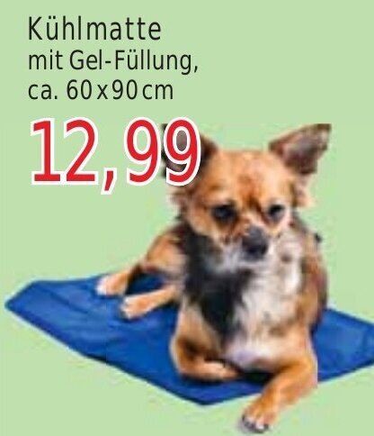 Wiglo Wunderland Kühlmatte mit Gel-Füllung, ca. 60x90 cm Angebot