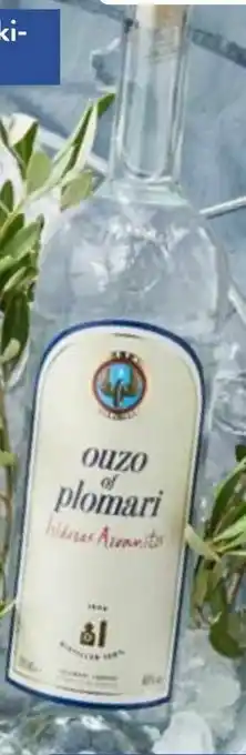 Aldi Nord Ouzo of Plomari Angebot