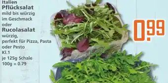 Klaas und Kock Italien Pflücksalat oder Rucolasalat 125g Angebot