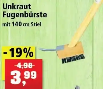 Thomas Philipps Unkraut Fugenbürste mit 140 cm Stiel Angebot