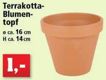 Thomas Philipps Terrakotta-Blumentopf Angebot