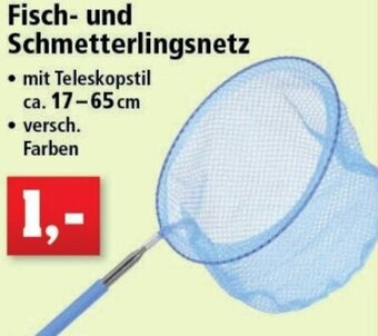 Thomas Philipps Fisch- und Schmetterlingsnetz Angebot