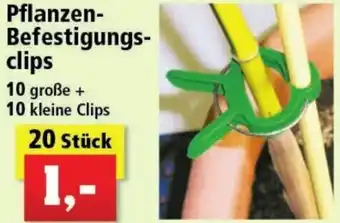 Thomas Philipps Pflanzen-Befestigungsclips 20 Stück Angebot