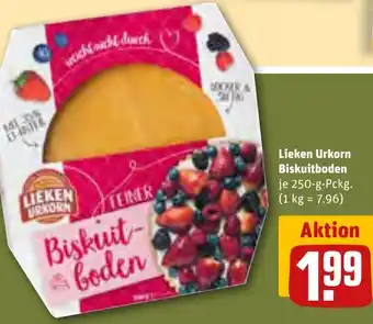 REWE Lieken Urkorn Biskuitboden 250-g-Pckg. Angebot