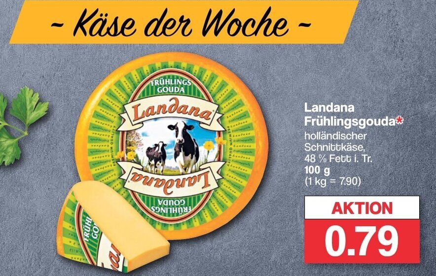 Famila Nord West Landana Frühlingsgouda holländischer Schnittkäse, 48% Fett i. Tr. 100 g (1 kg = 7.90) Angebot
