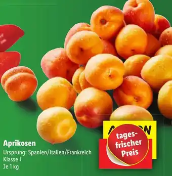 Lidl Aprikosen , 1 kg Angebot