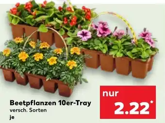 Kaufland Beetpflanzen 10er-Tray Angebot