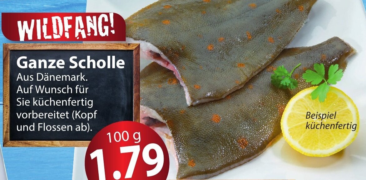 Famila Nord Ost Ganze Scholle 100 g Angebot