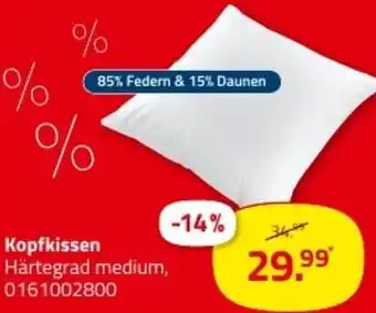 ROLLER Kopfkissen Angebot