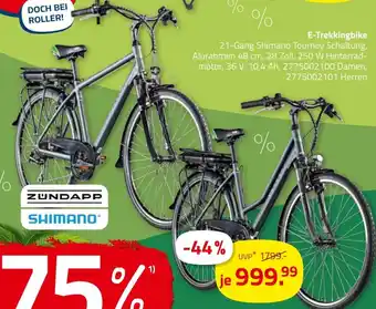 ROLLER E-Trekkingbike Angebot