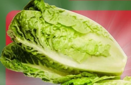 Aldi Nord Salatherzen mini romana Angebot
