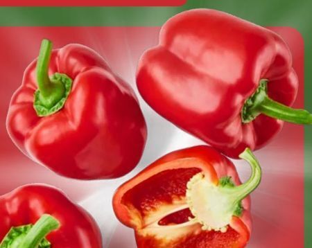 Aldi Nord Paprika rot Angebot