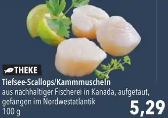 CITTI Markt Tiefsee-Scallops/Kammmuscheln 100 g Angebot