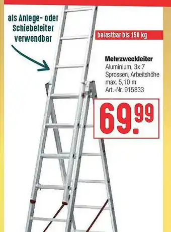 Hellweg Mehrzweckleiter Angebot