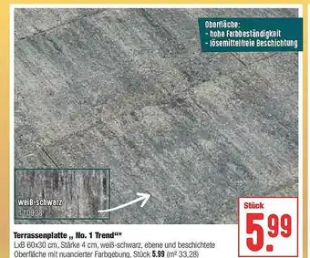 Hellweg Terrassenplatte „no. 1 Trend” Angebot