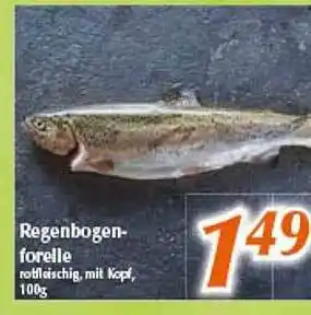 inkoop Regenbogen-forelle Angebot